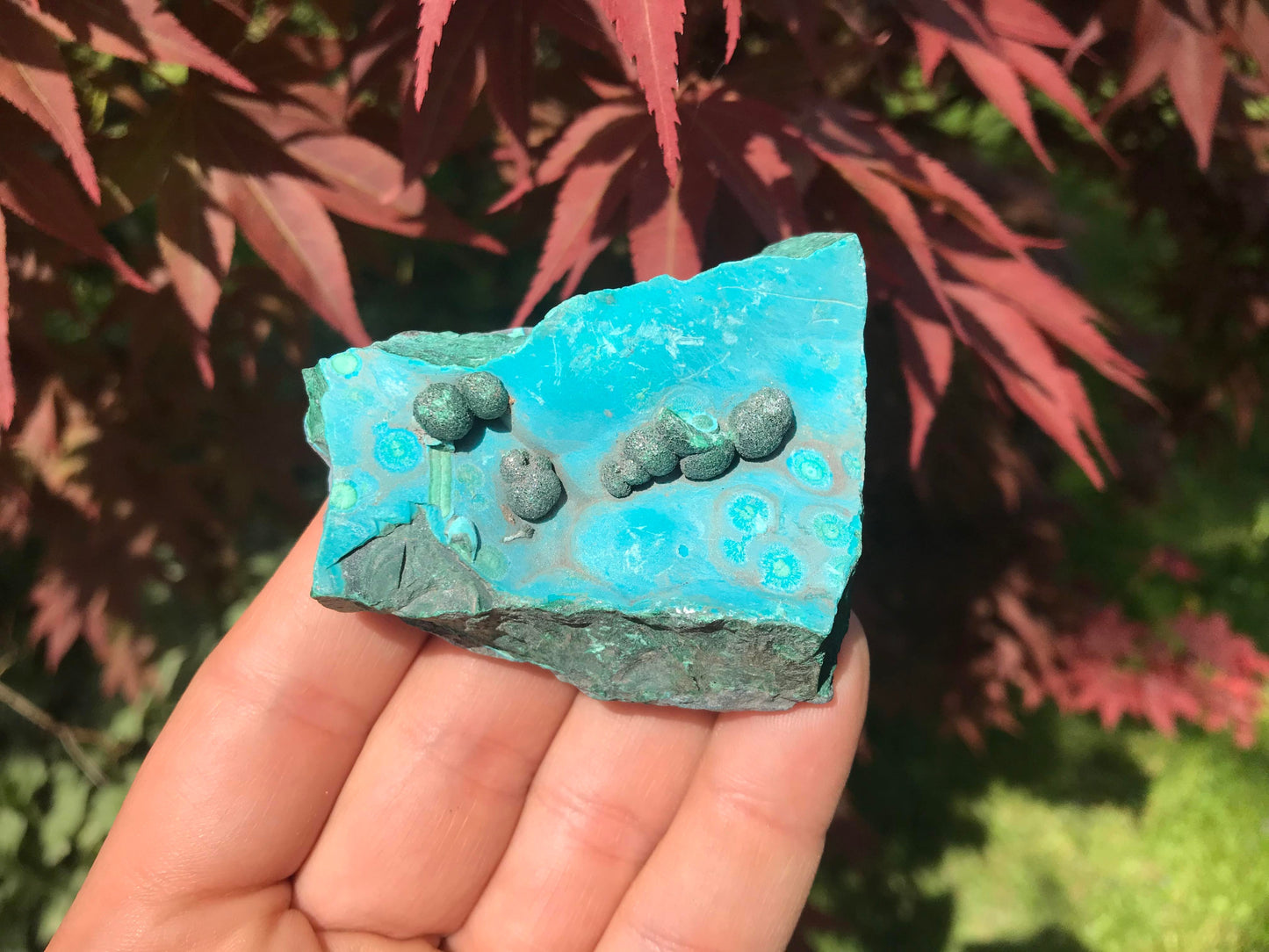 Chrysocolla & Malachite Specimen