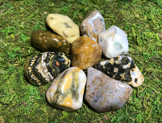 Ocean Jasper - Gem Realm