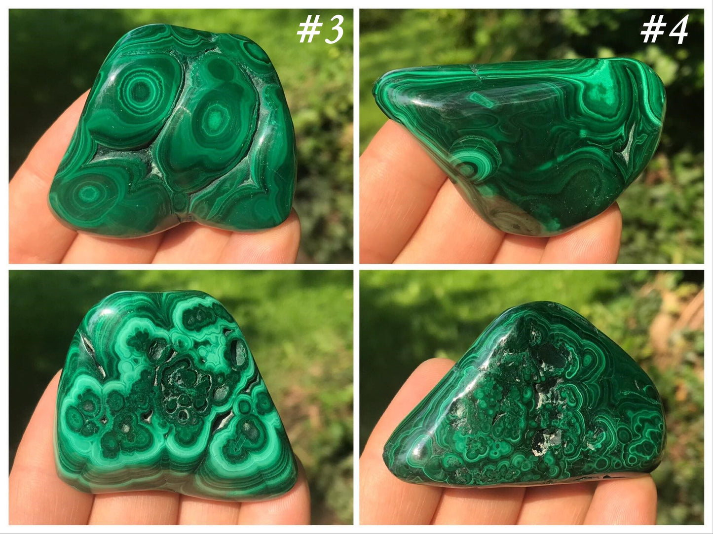 Malachite Freeforms ~ Polished Specimens