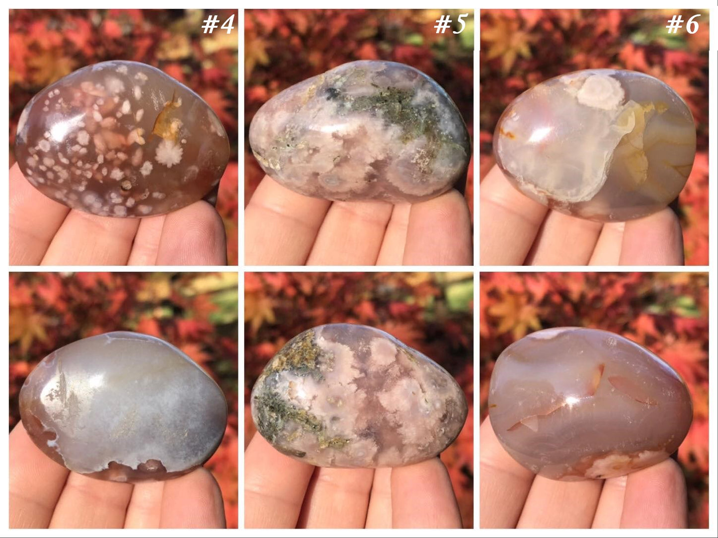 Flower Agate Palm Stones
