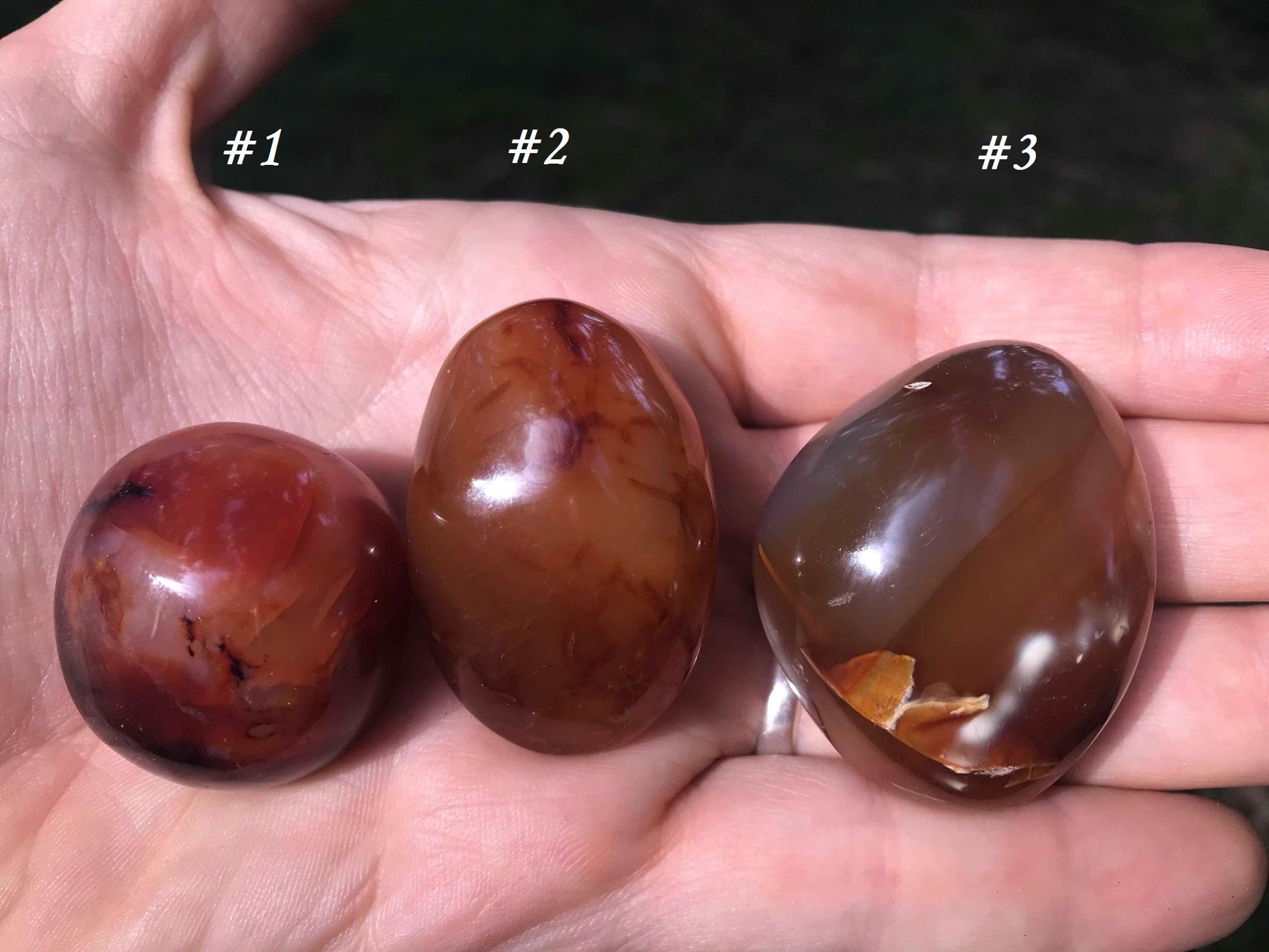 Carnelian Palm Stones - Gem Realm
