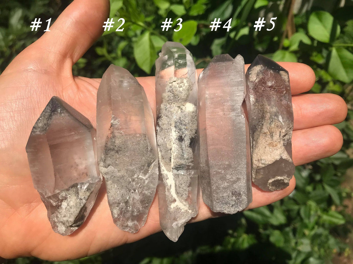 Grey Phantom Quartz Points