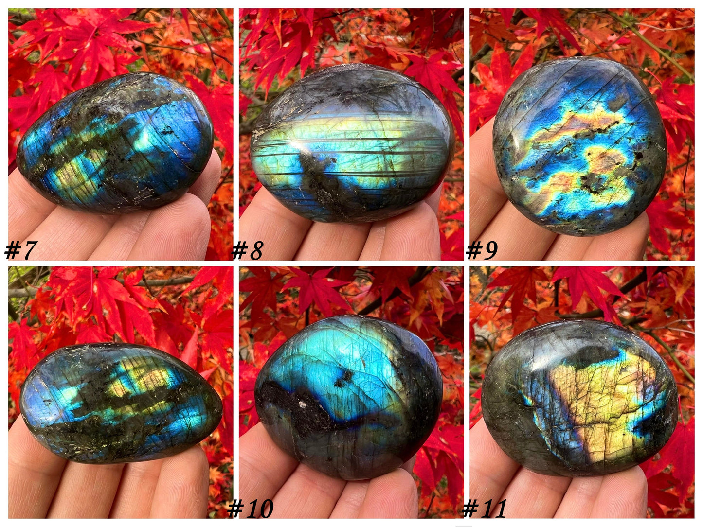 Labradorite Palm Stones - Gem Realm