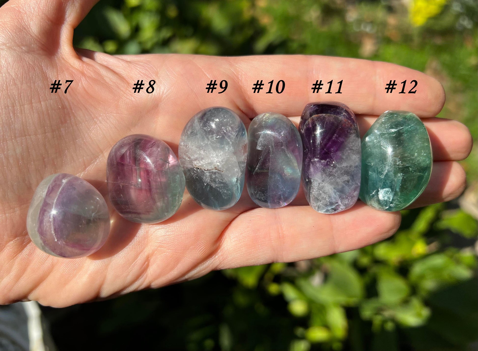 Rainbow Fluorite - Gem Realm