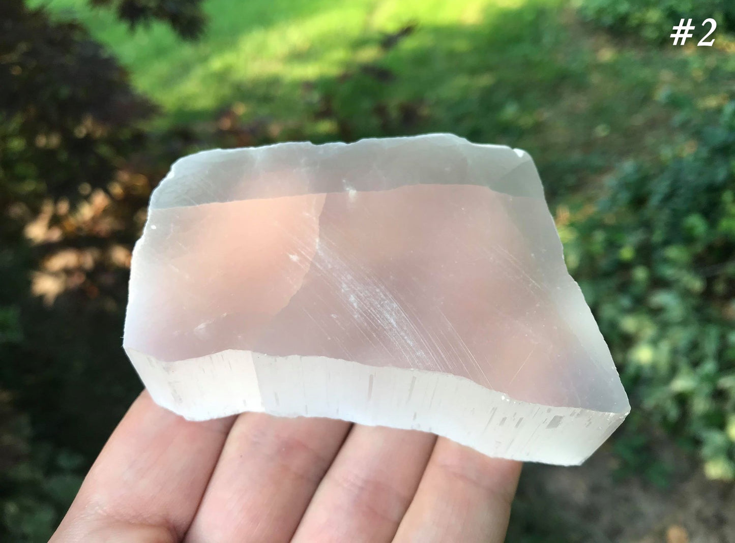 Selenite Slices - Gem Realm