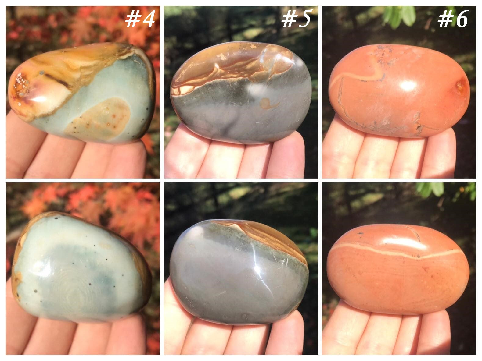 Polychrome Jasper Palm Stones - Gem Realm