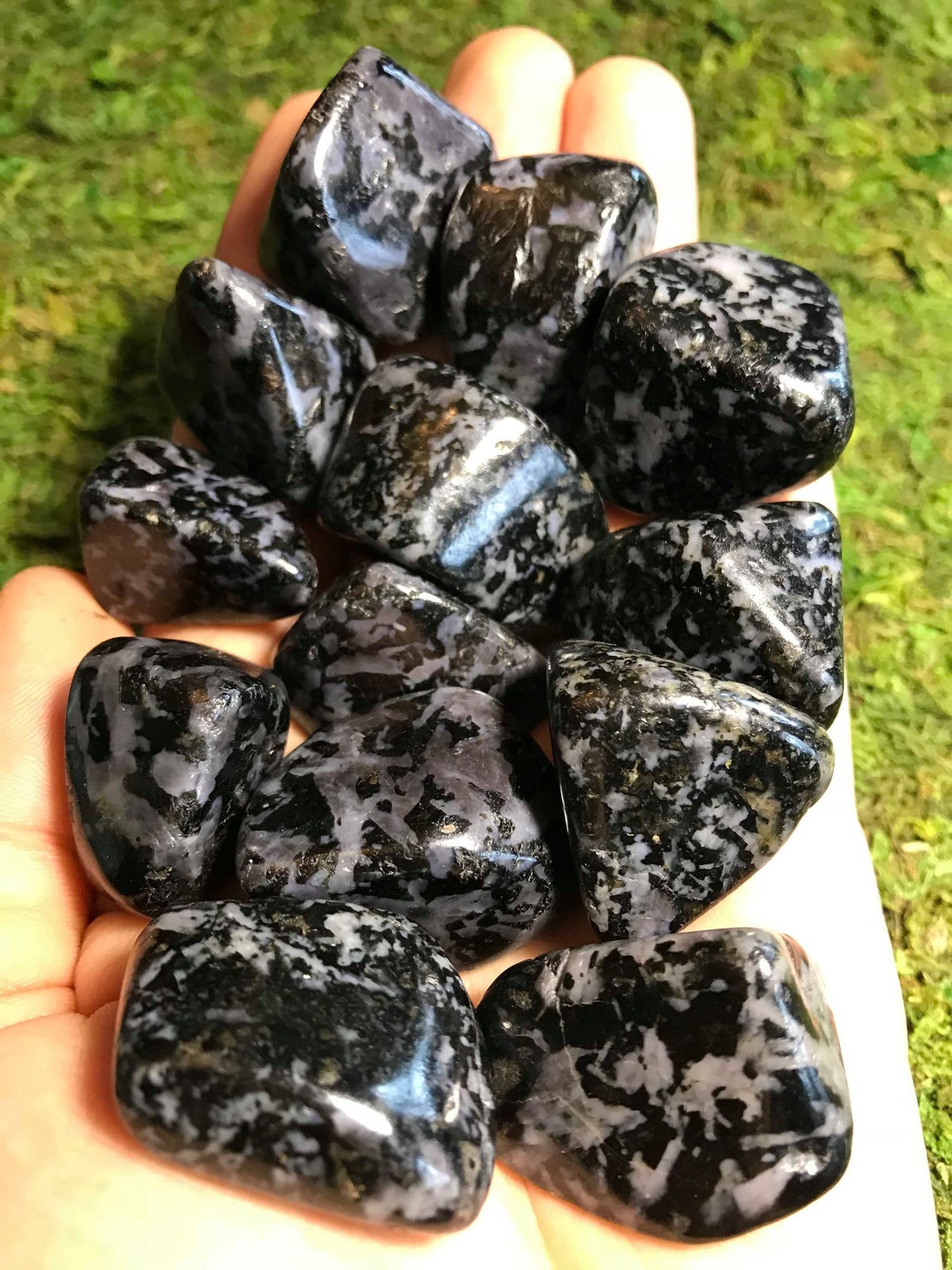 Indigo Gabbro - Gem Realm