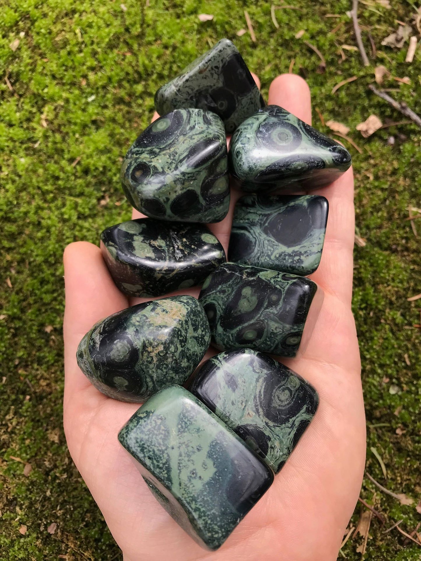Kambaba Jasper - Gem Realm