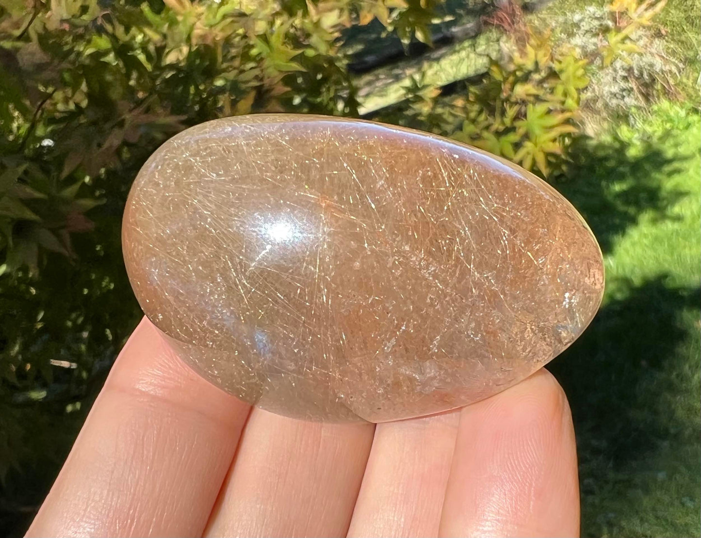 Rutilated Quartz Dome