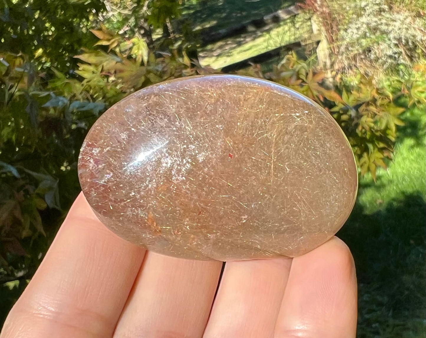 Rutilated Quartz Dome