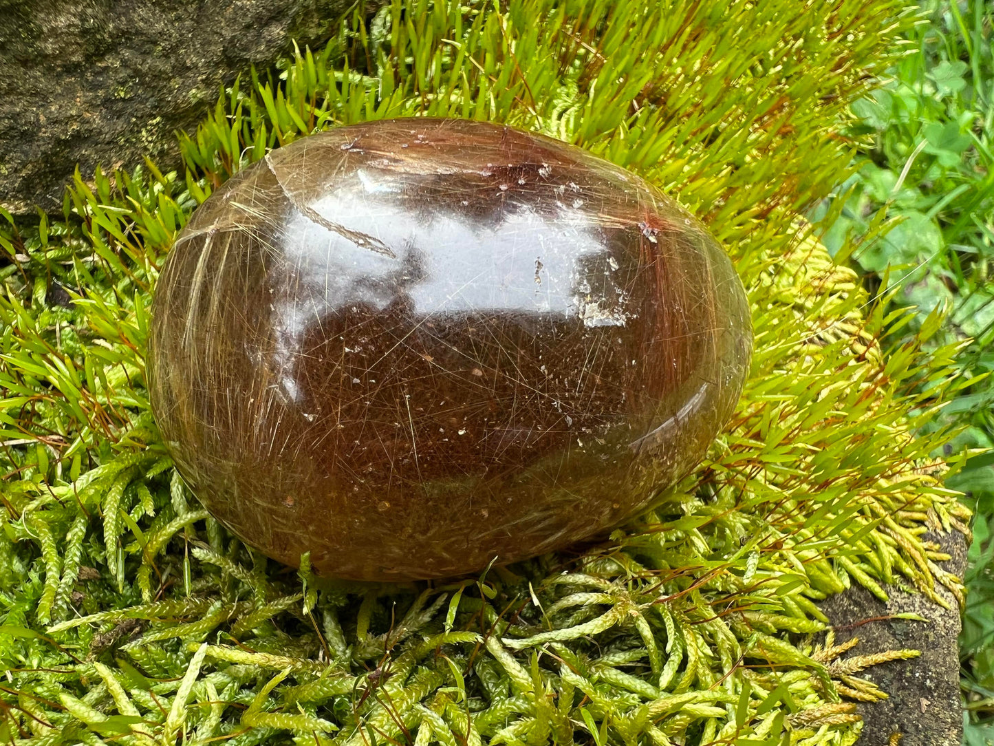Rutilated Quartz Dome