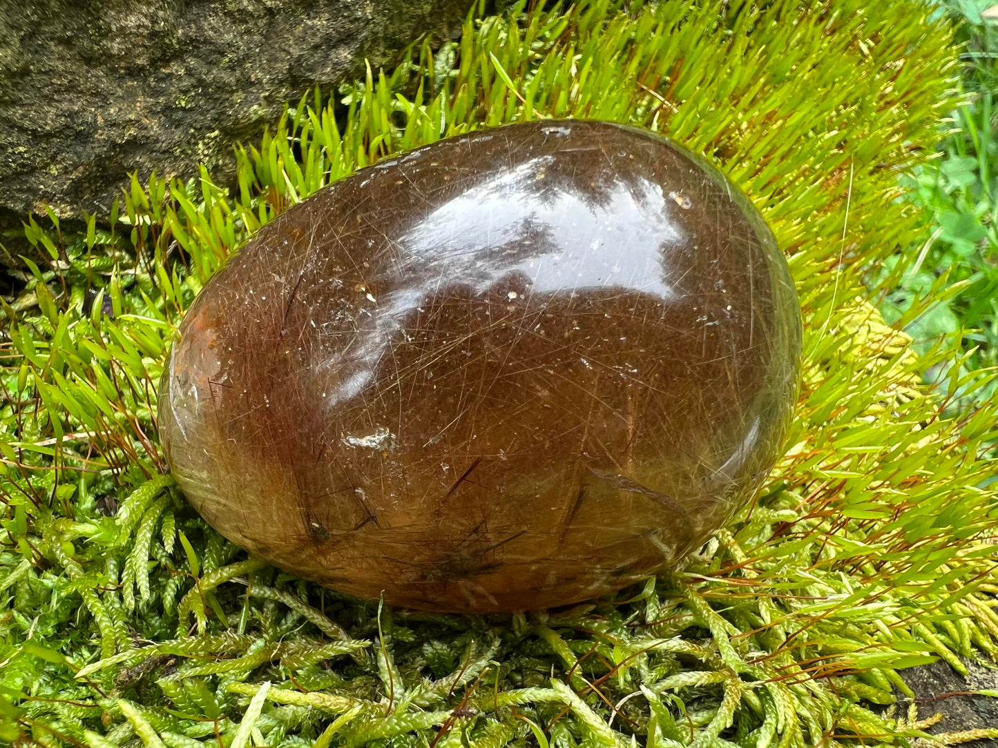 Rutilated Quartz Dome