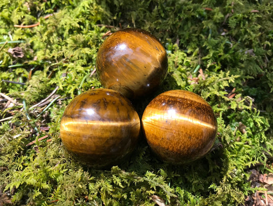 Tiger's Eye Spheres - Gem Realm 