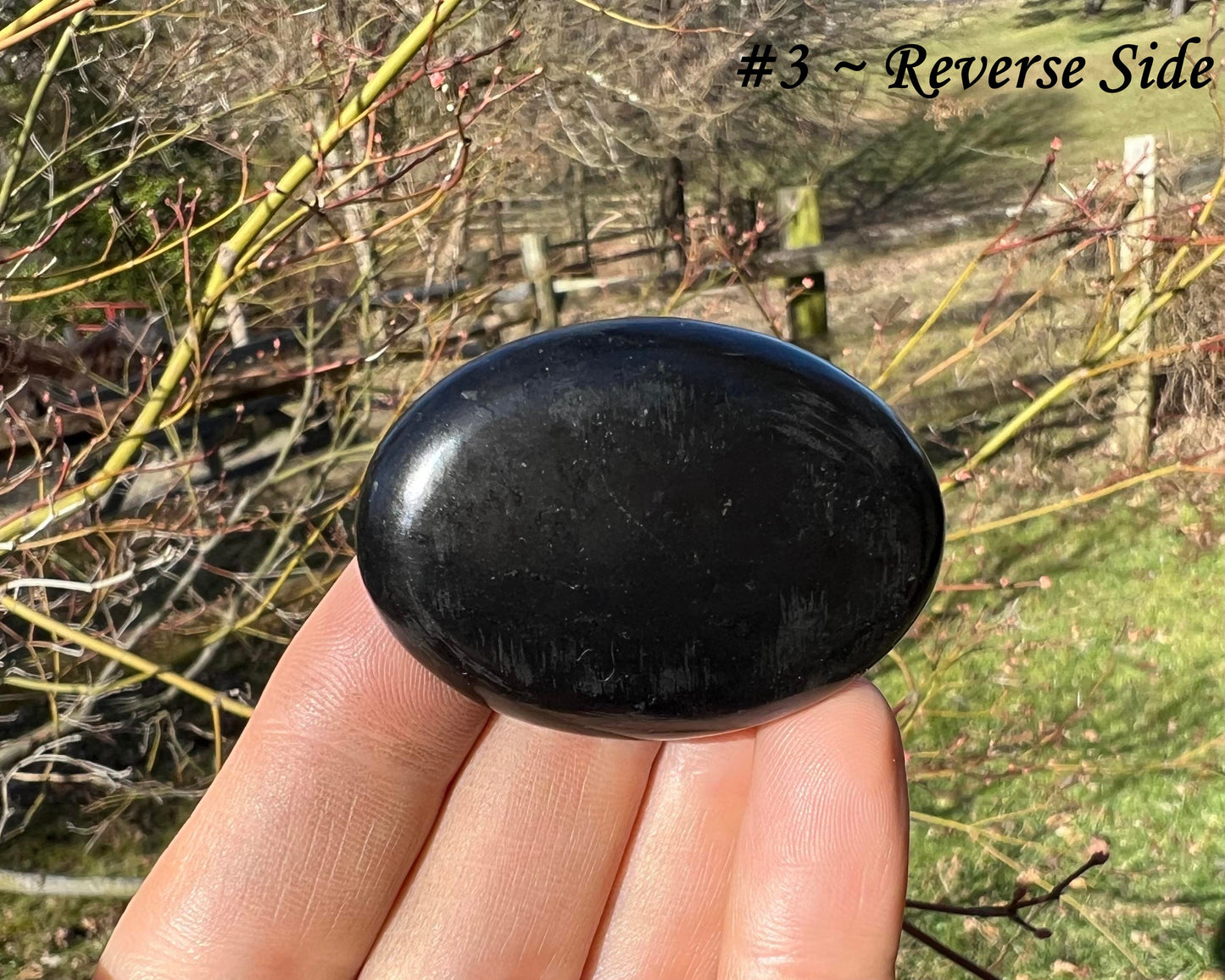Shungite Palm Stones