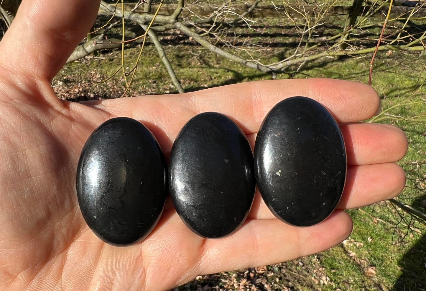 Shungite Palm Stones