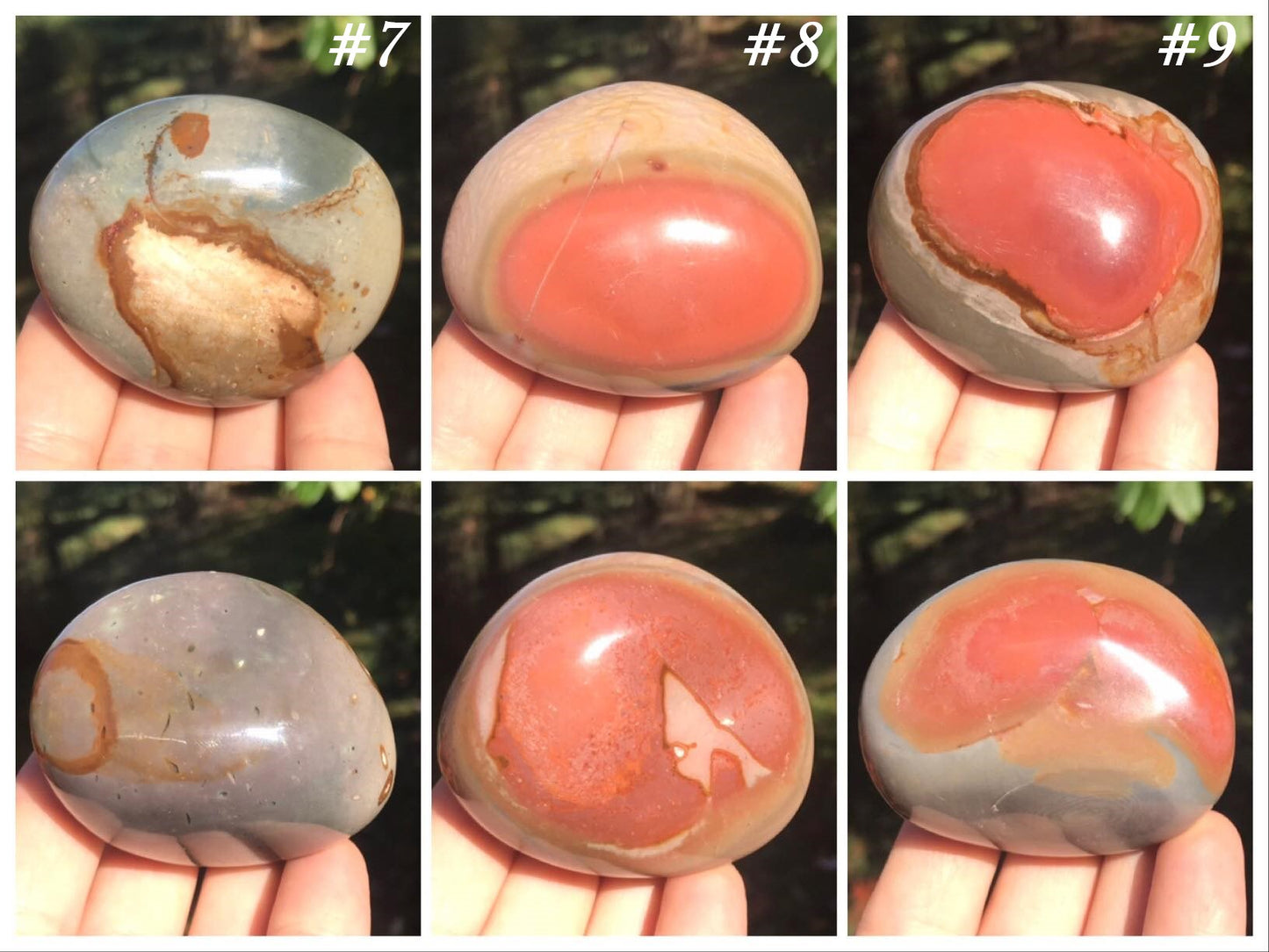 Polychrome Jasper Palm Stones - Gem Realm