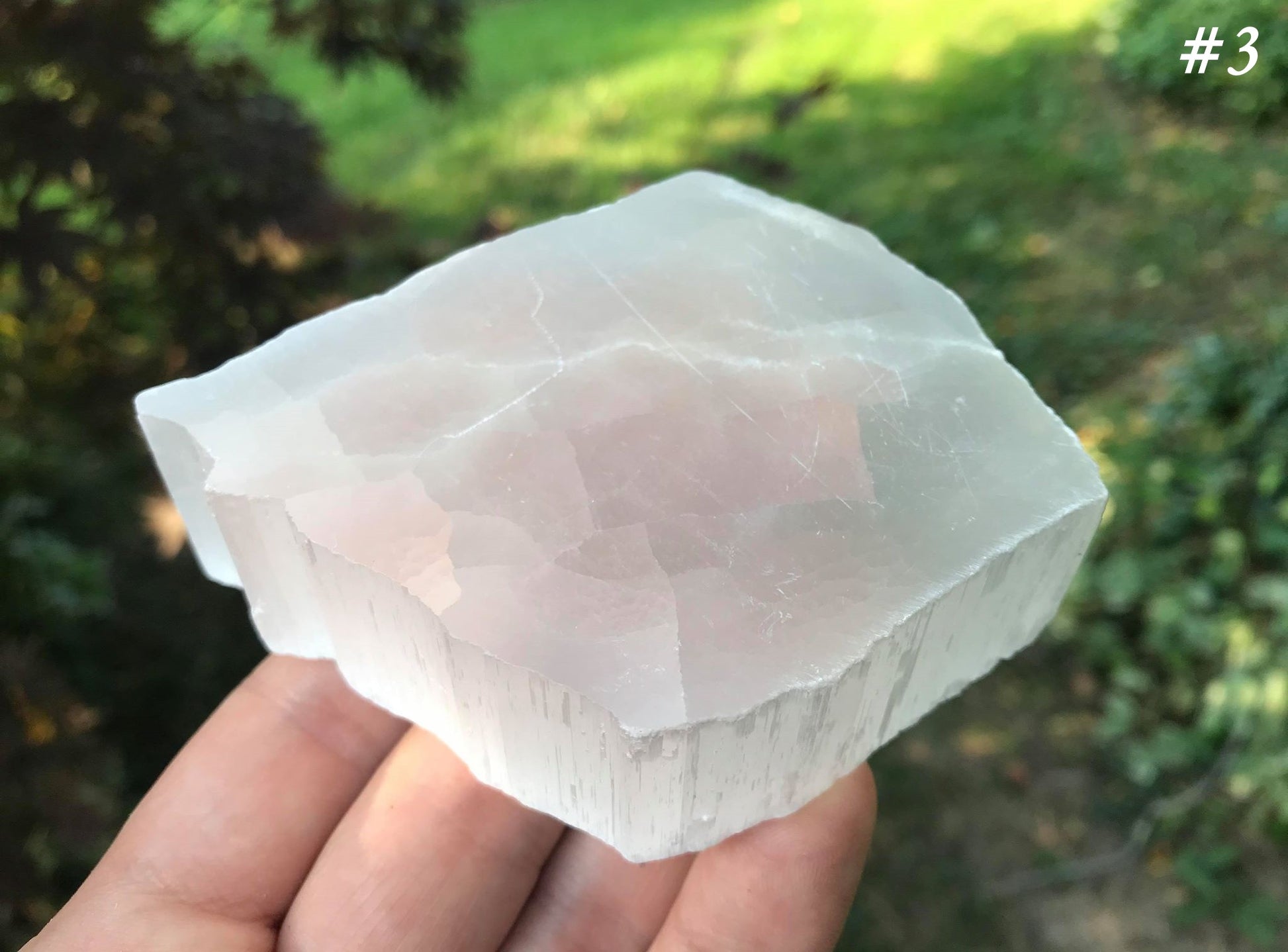 Selenite Slices - Gem Realm