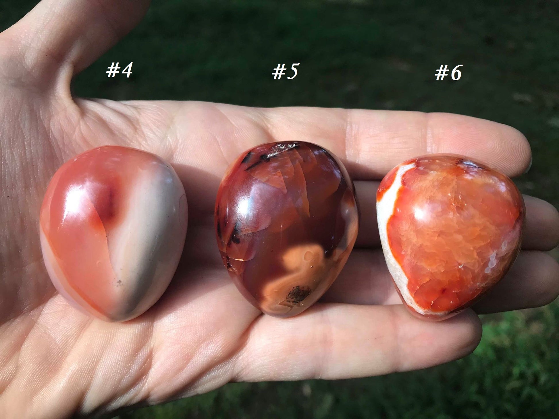 Carnelian Palm Stones - Gem Realm
