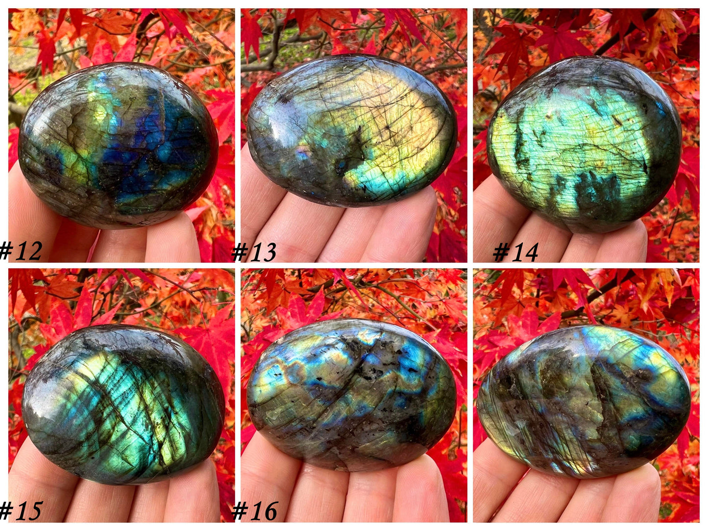 Labradorite Palm Stones - Gem Realm