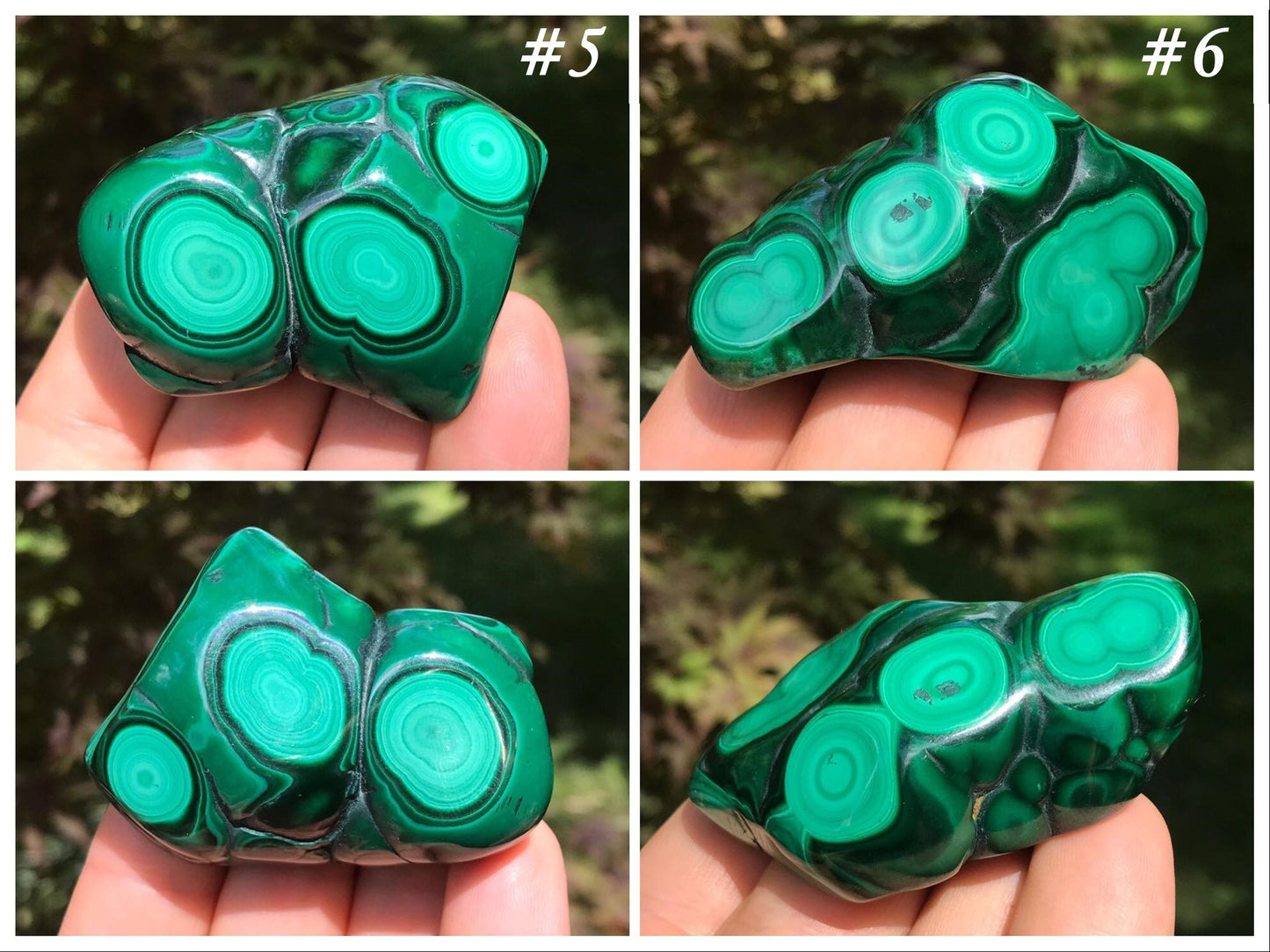 Malachite Freeforms ~ Polished Specimens