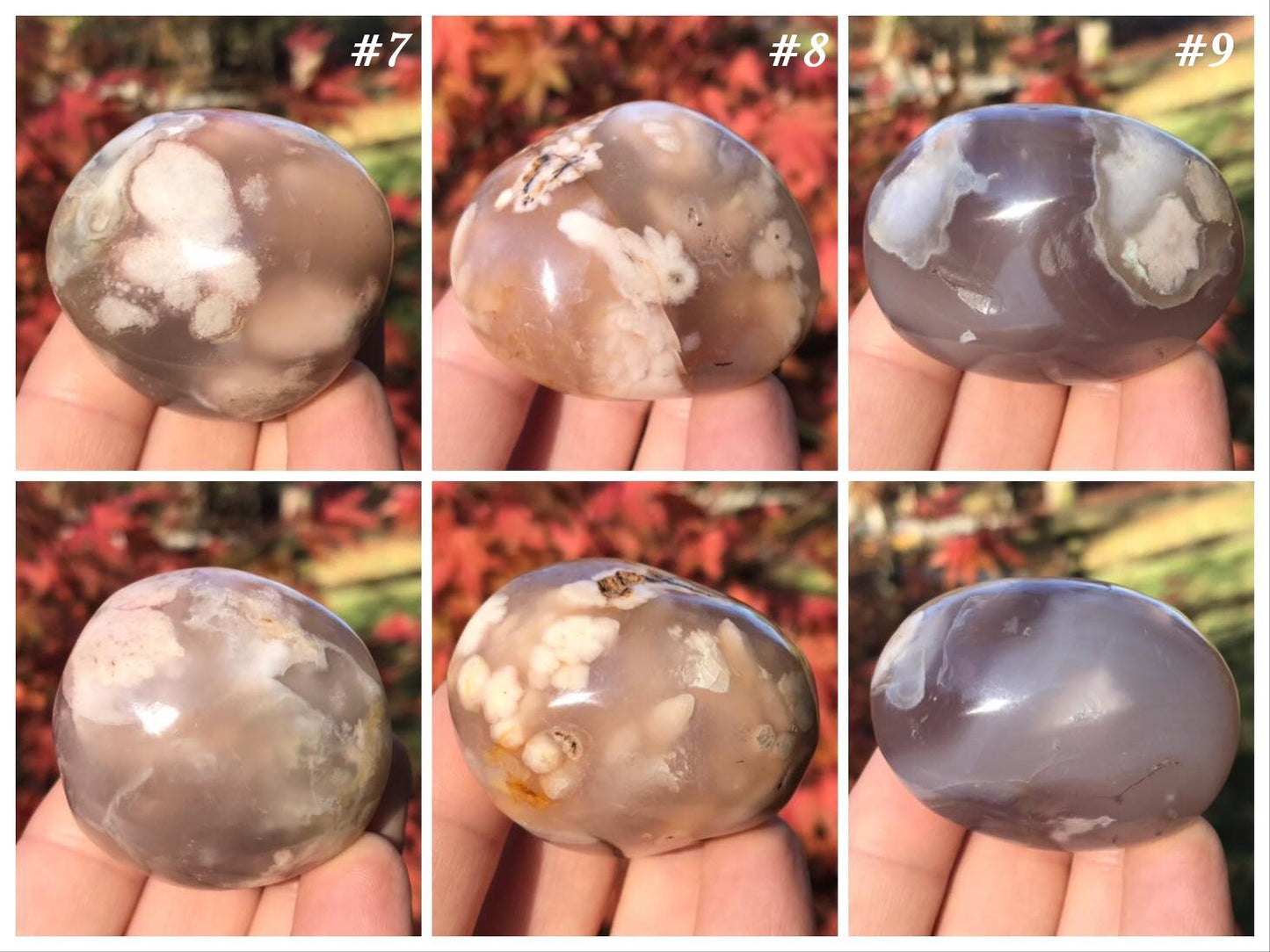 Flower Agate Palm Stones