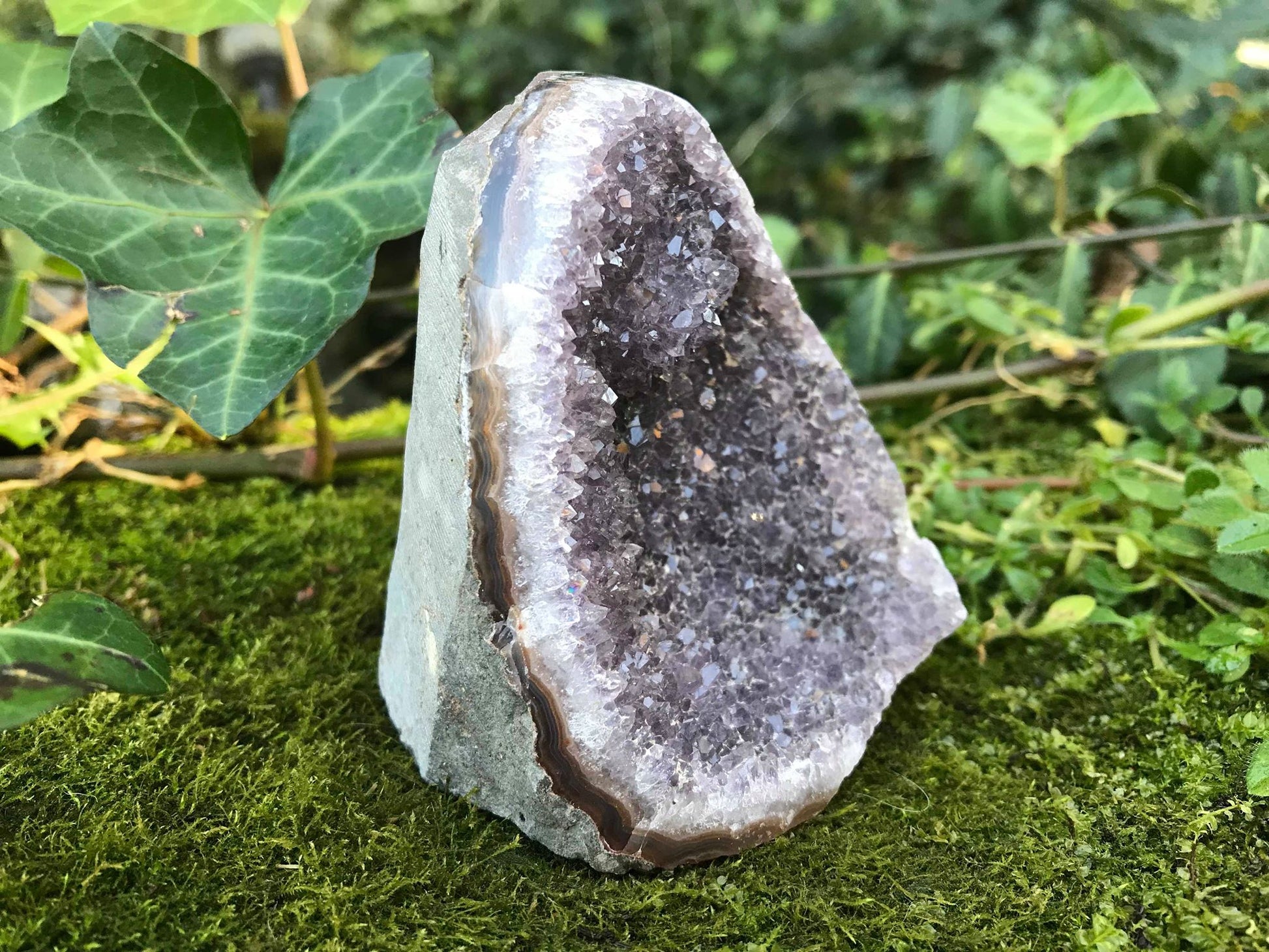 Amethyst Geode - Gem Realm