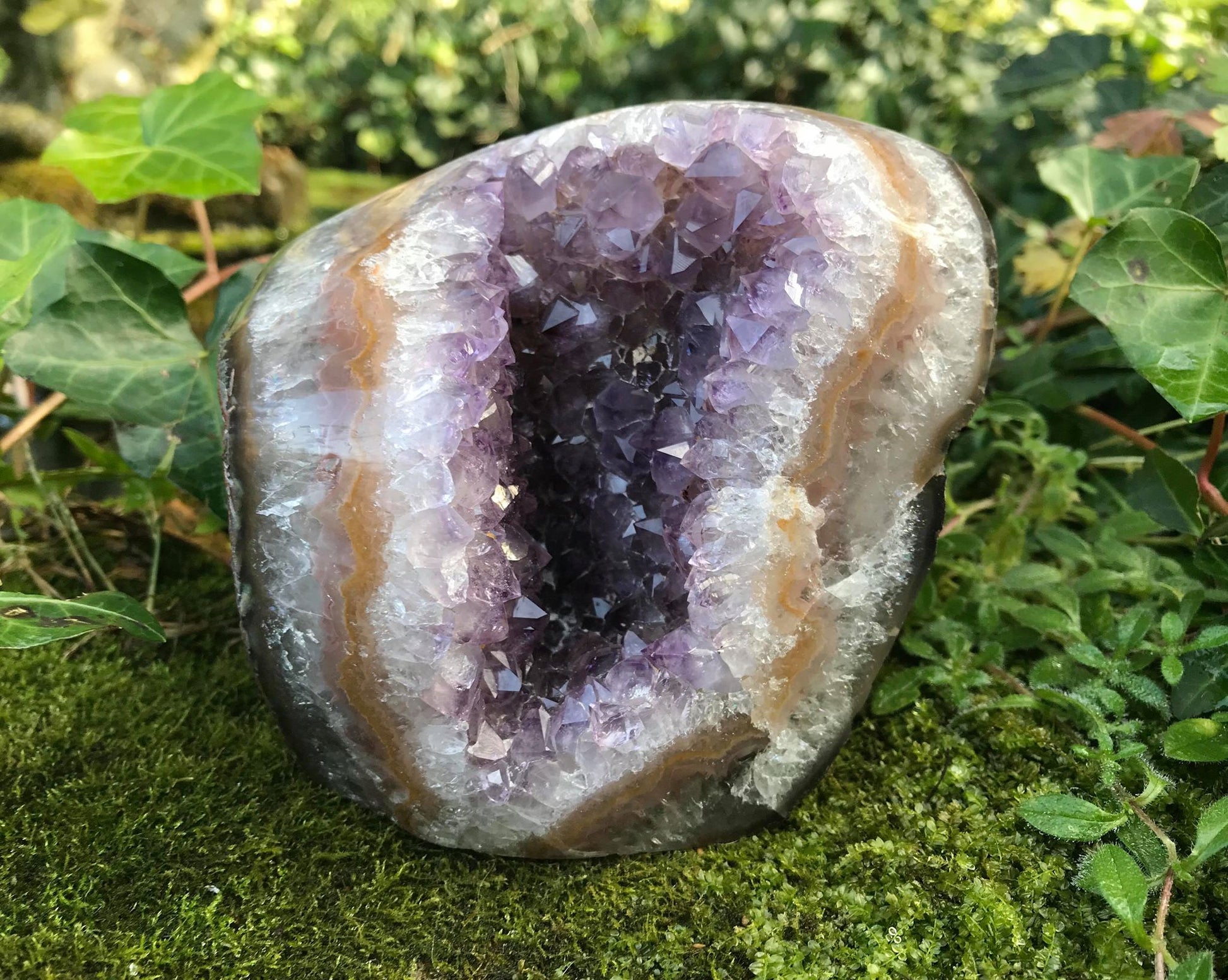 Amethyst Geode - Gem Realm