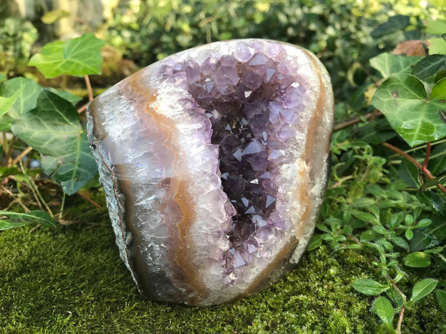 Amethyst Geode - Gem Realm