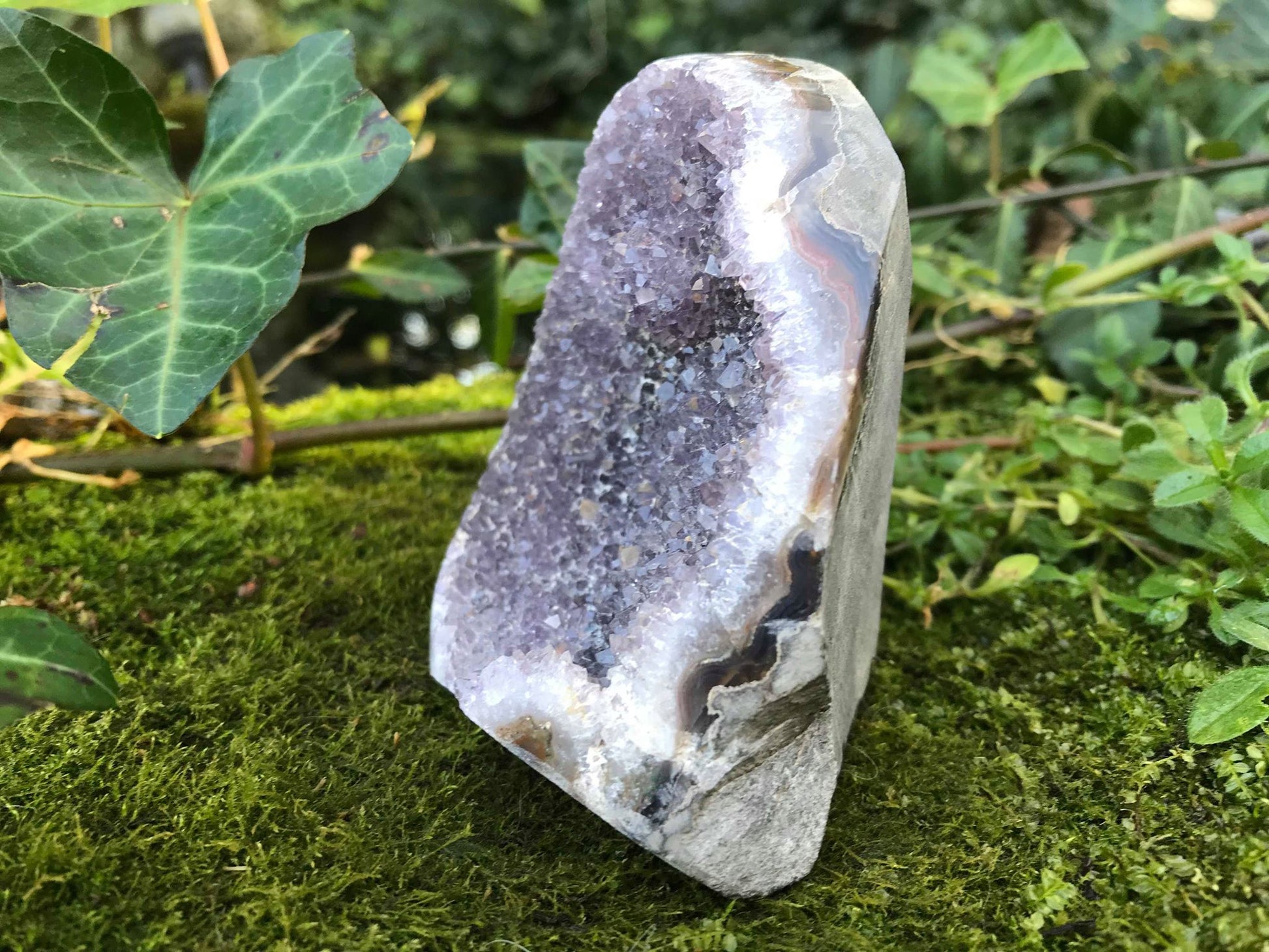 Amethyst Geode - Gem Realm