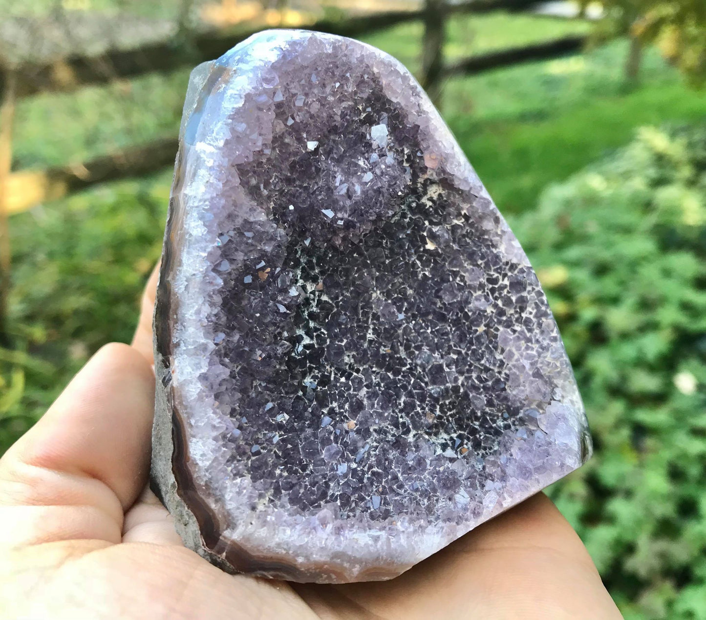 Amethyst Geode - Gem Realm