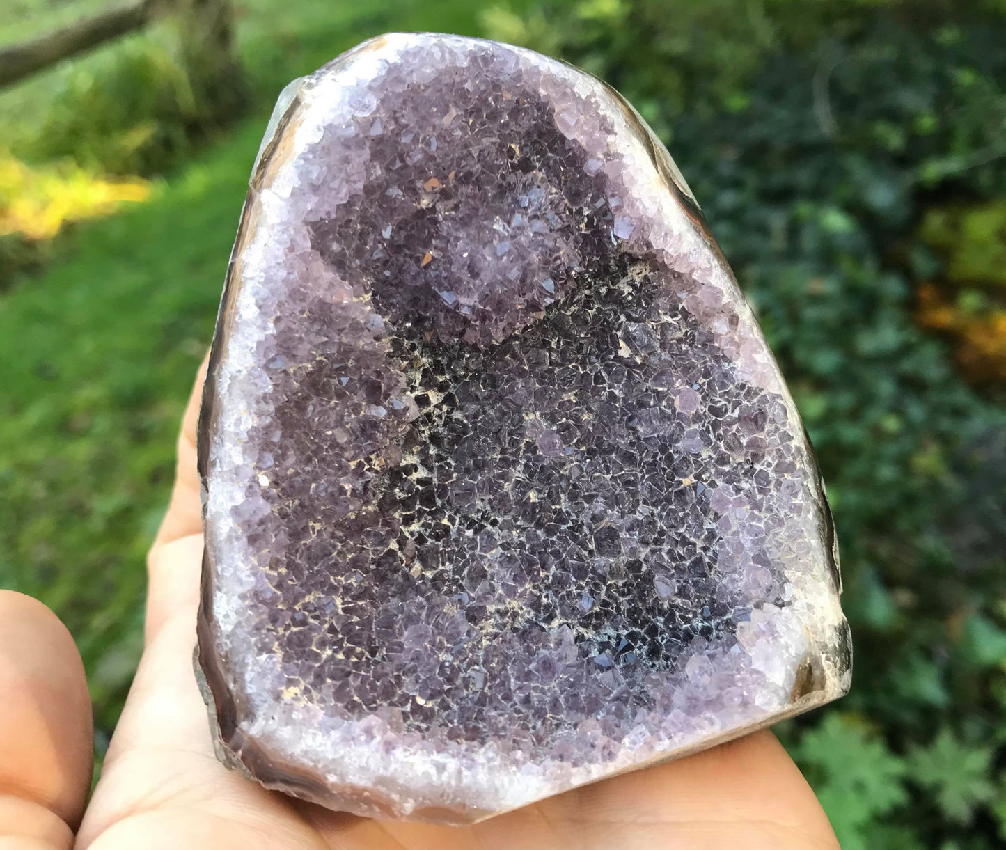 Amethyst Geode - Gem Realm