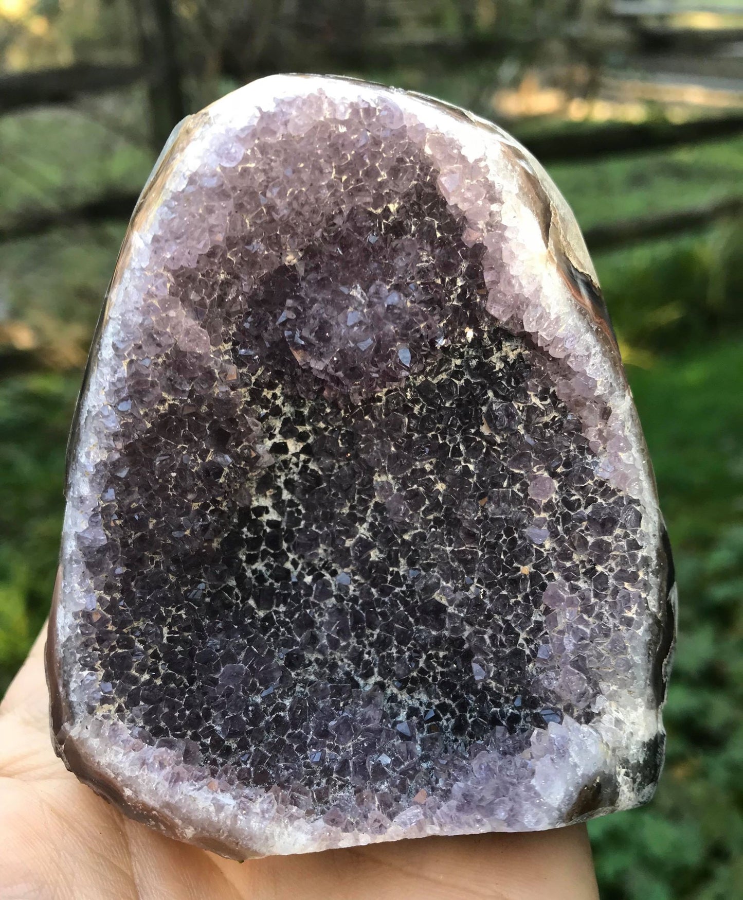 Amethyst Geode - Gem Realm