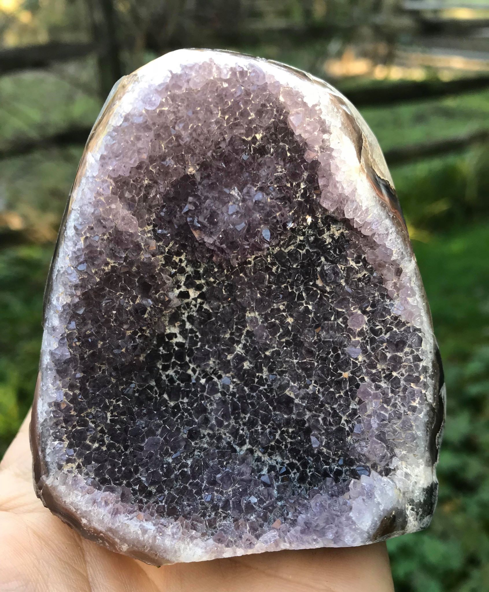 Amethyst Geode - Gem Realm