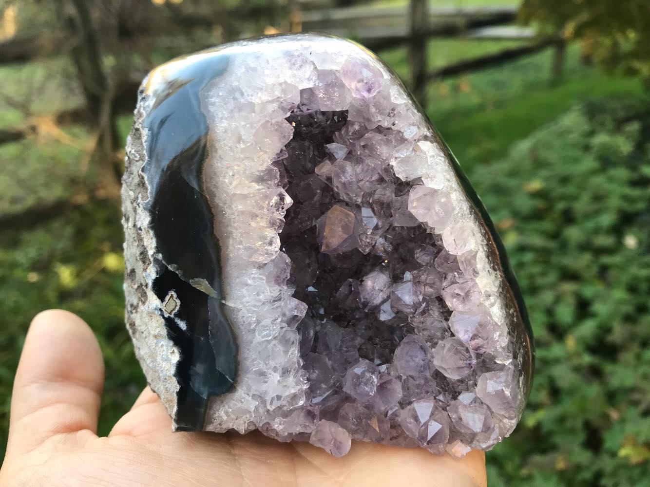 Amethyst Geode - Gem Realm