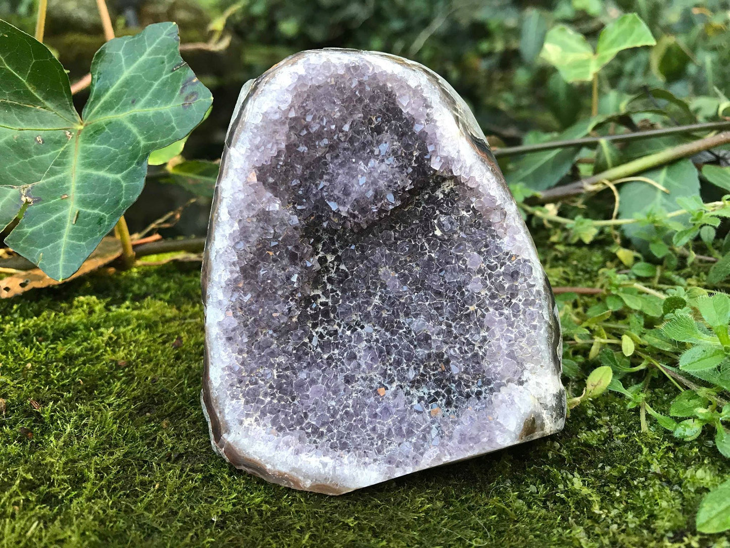 Amethyst Geode - Gem Realm