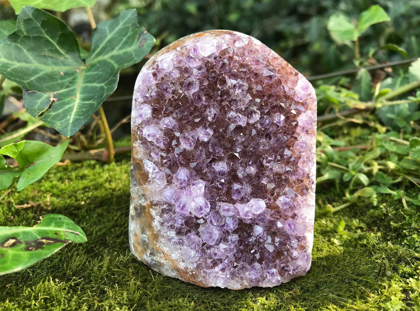 Amethyst Geode - Gem Realm