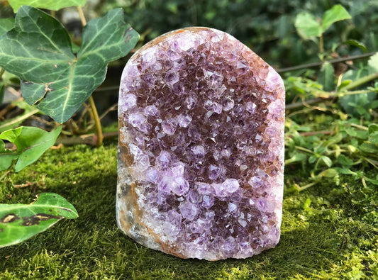 Amethyst Geode - Gem Realm 