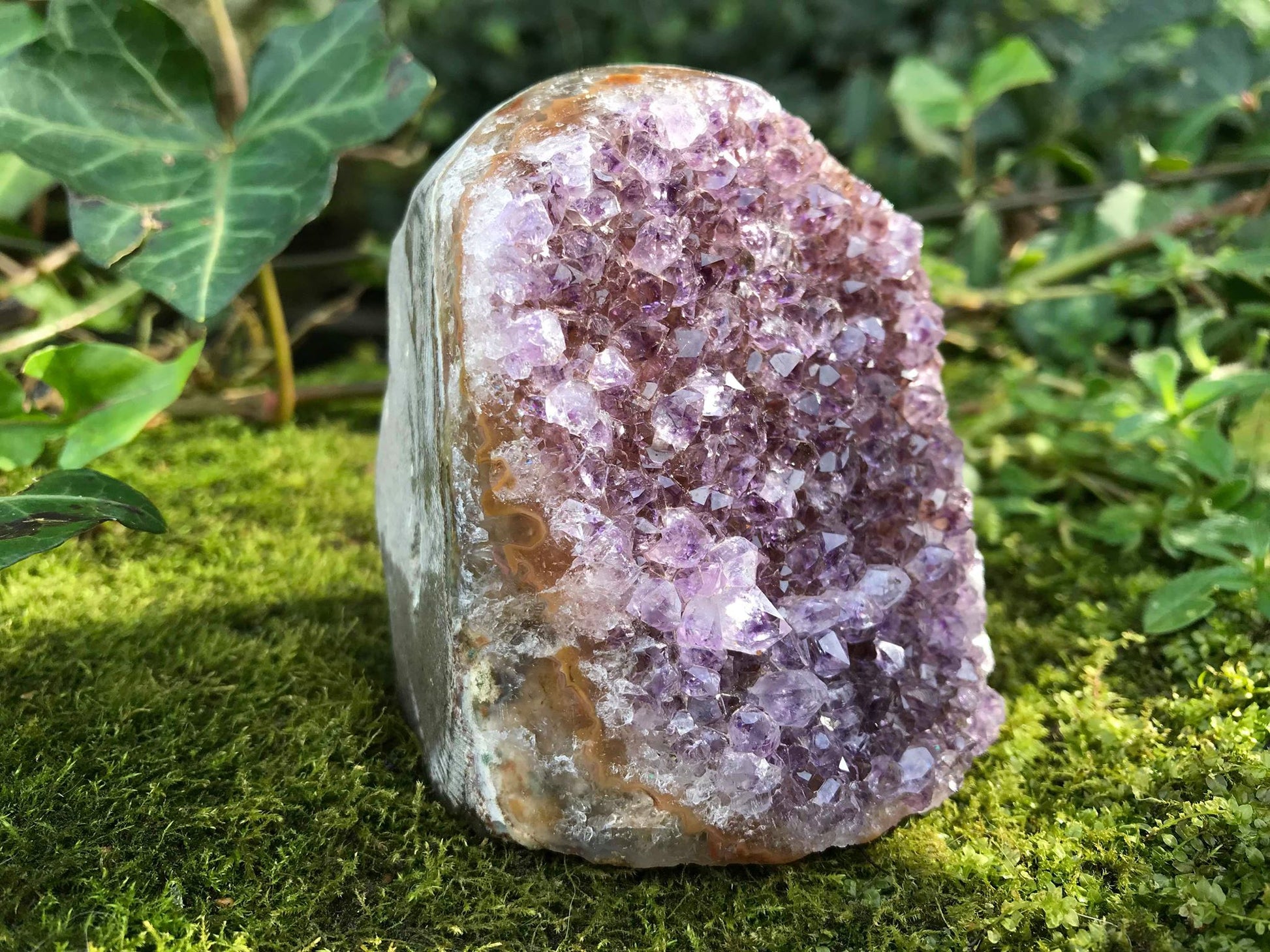 Amethyst Geode - Gem Realm