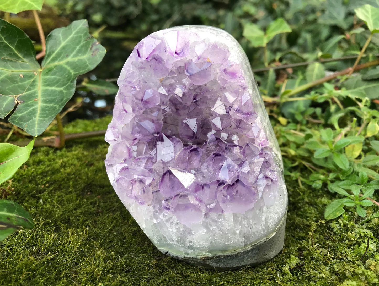 Amethyst Geode - Gem Realm