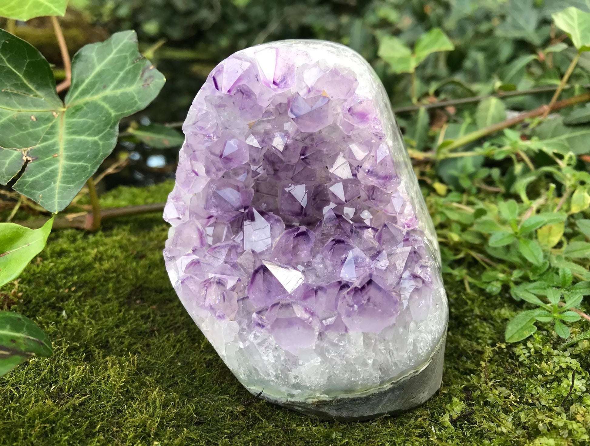 Amethyst Geode - Gem Realm