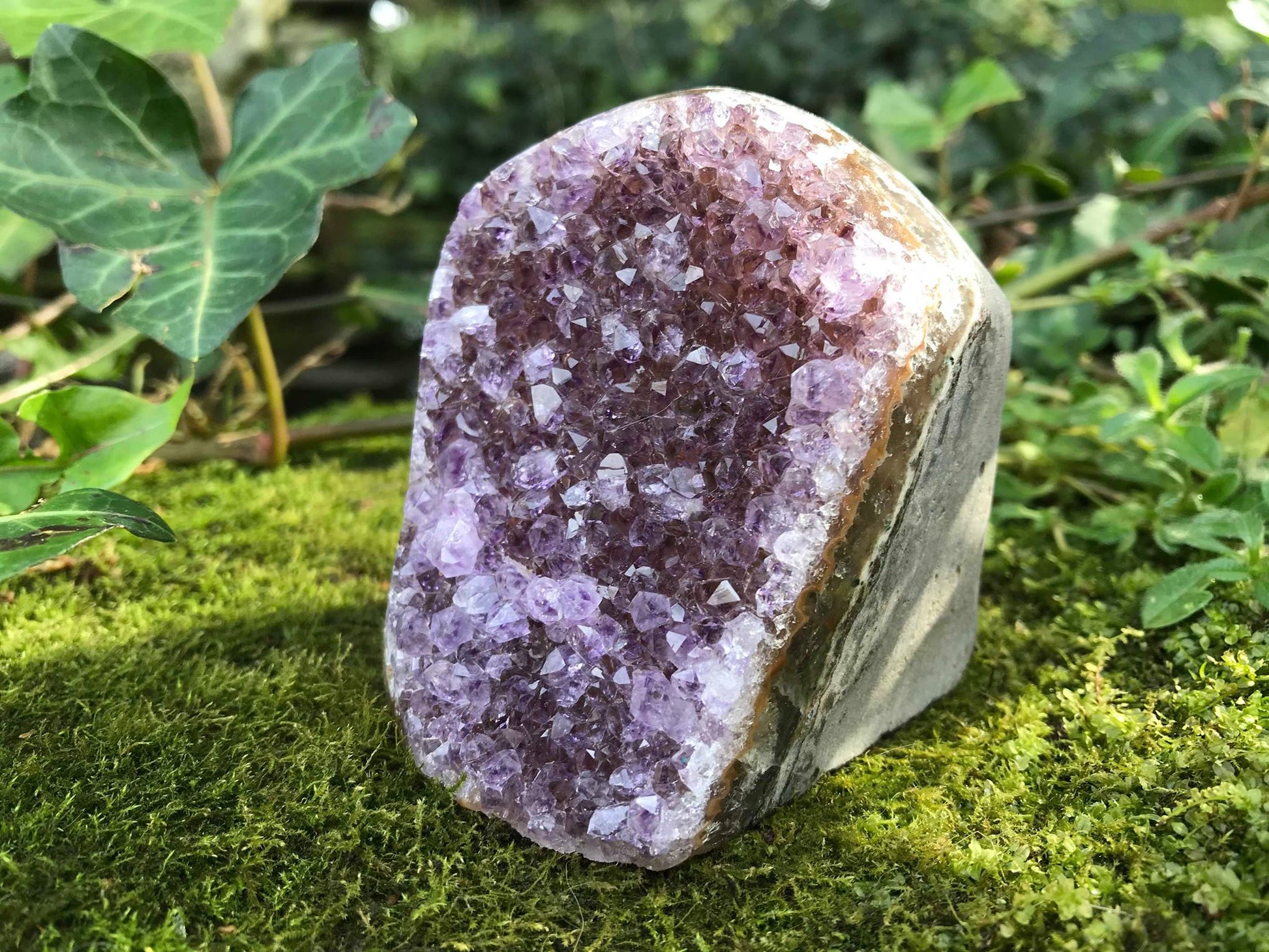 Amethyst Geode - Gem Realm