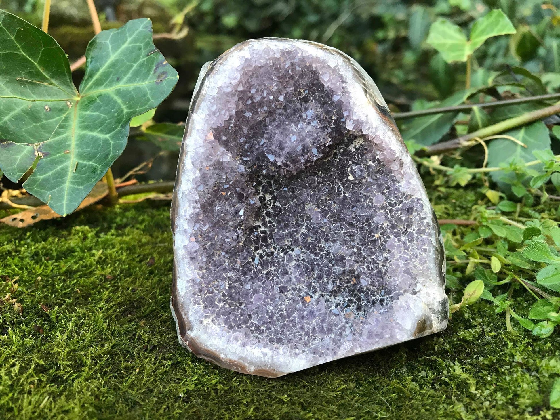 Amethyst Geode - Gem Realm