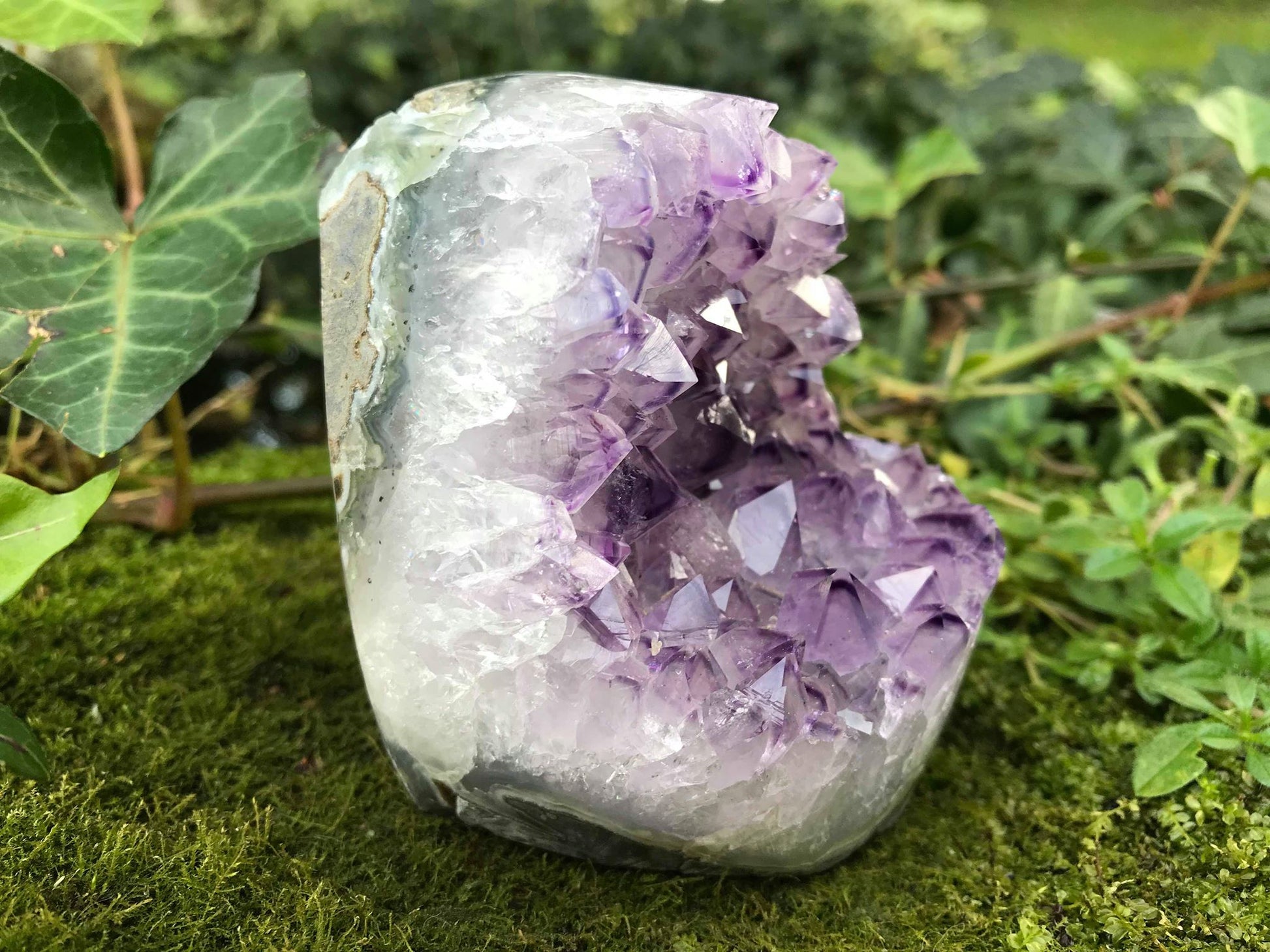Amethyst Geode - Gem Realm
