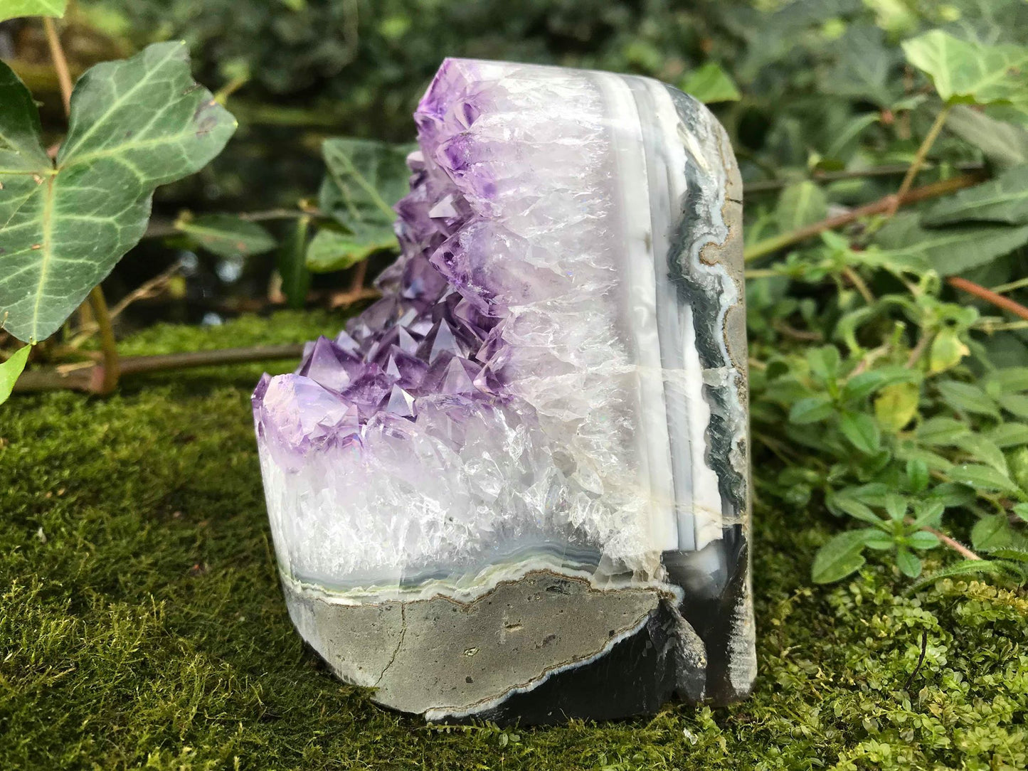 Amethyst Geode - Gem Realm