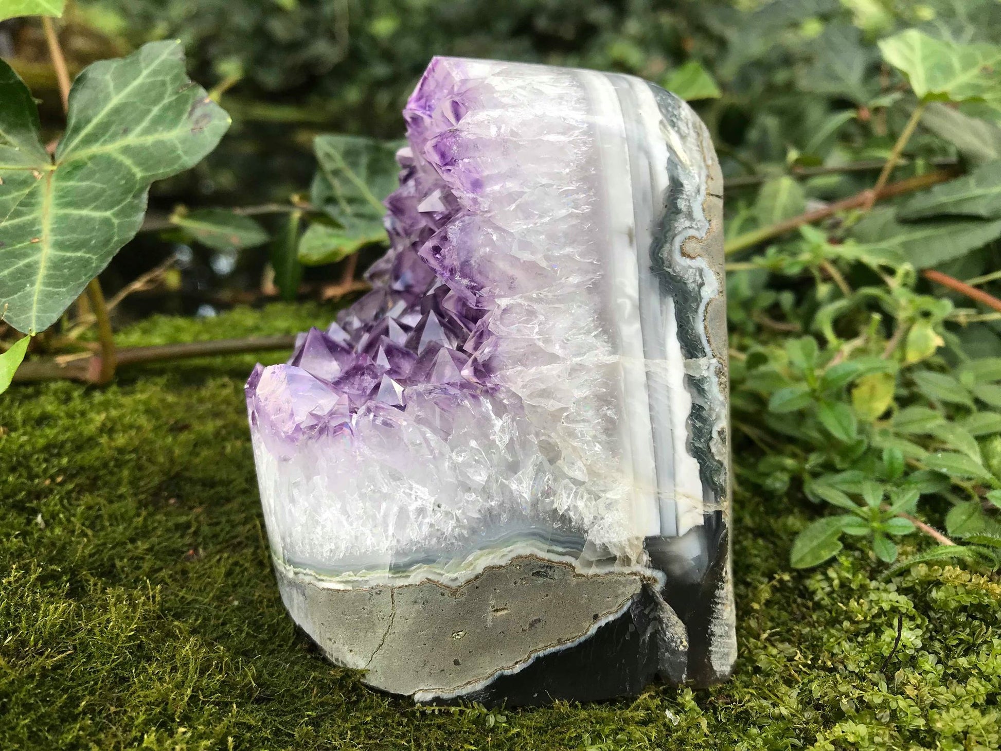 Amethyst Geode - Gem Realm