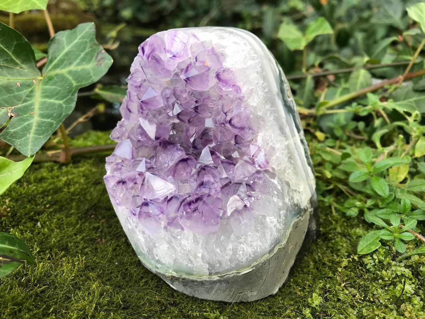 Amethyst Geode - Gem Realm