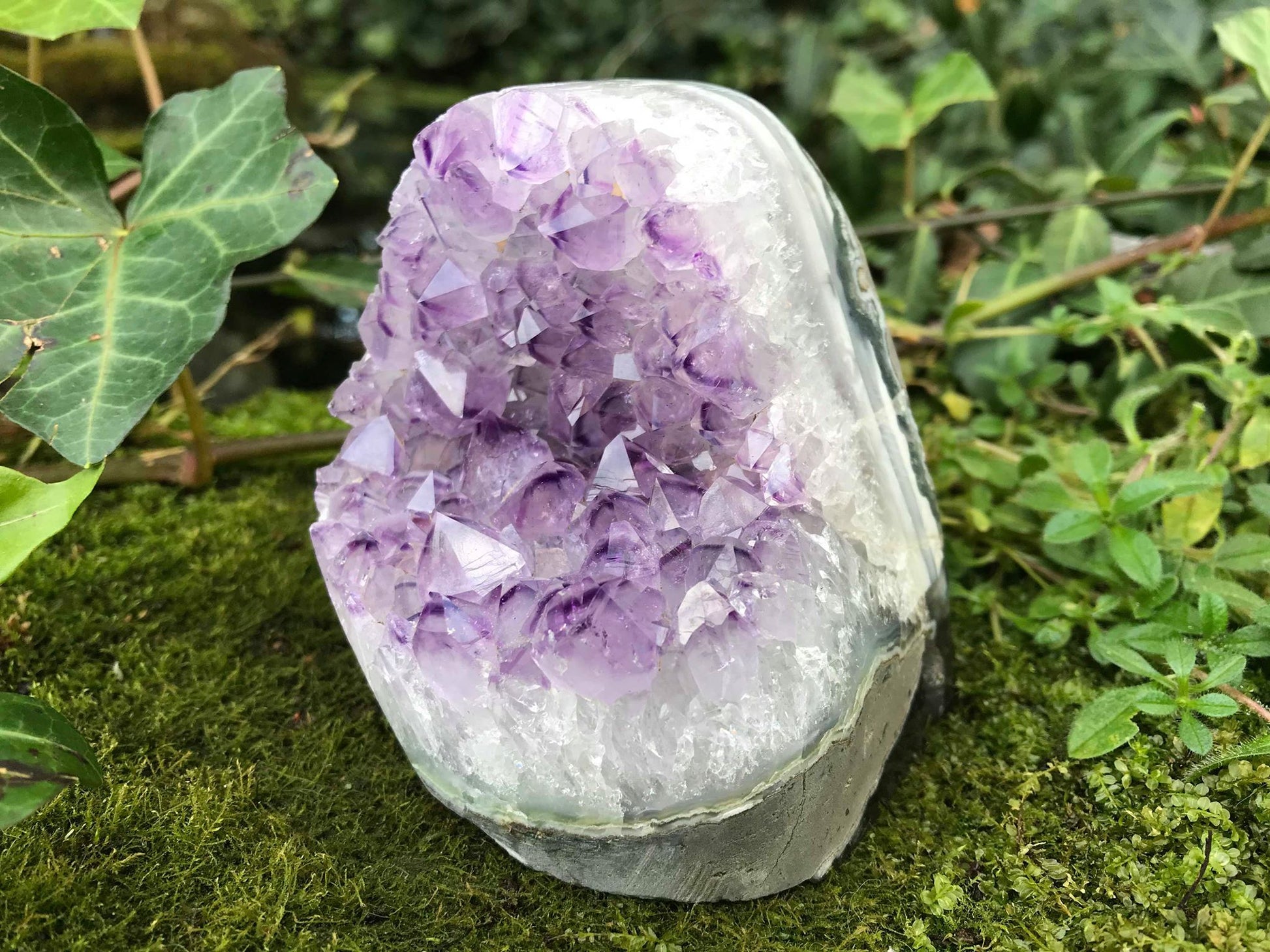 Amethyst Geode - Gem Realm