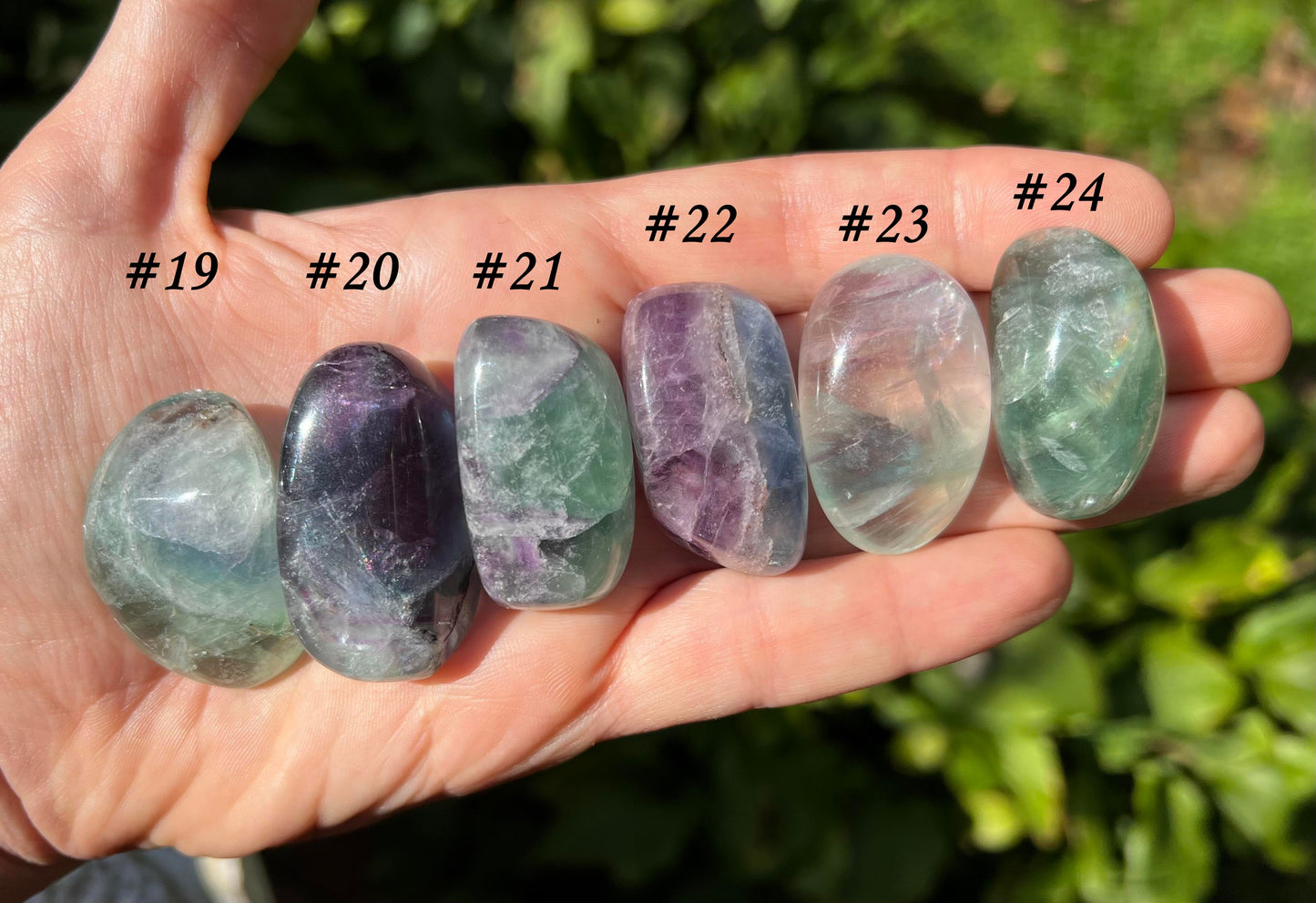 Rainbow Fluorite - Gem Realm