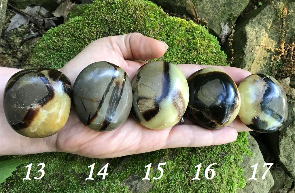 Septarian Palm Stones - Gem Realm