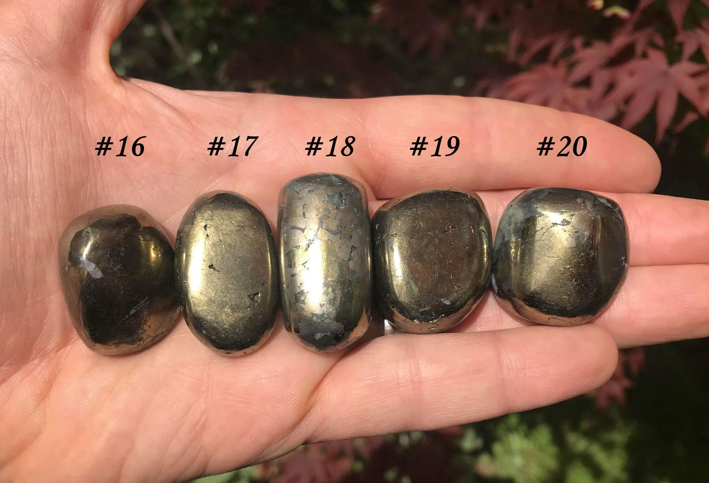 Chalcopyrite - Gem Realm